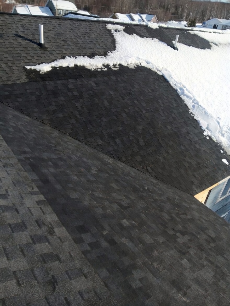 Roofing project